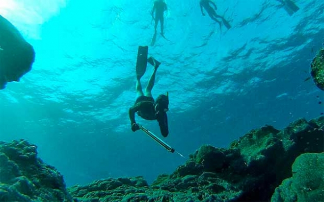 Los peces se vuelven más tímidos por la pesca submarina